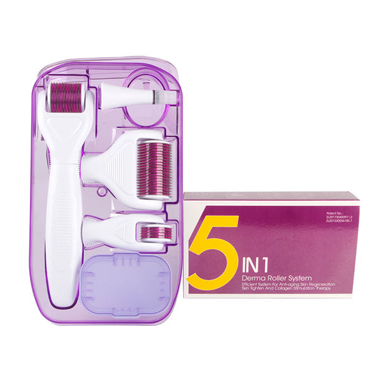 Kit DermaKit™ 6-en-1 pour micro-aiguillage facial \ DermaKit™ 6-in-1 Derma Roller Kit Facial Microneedling